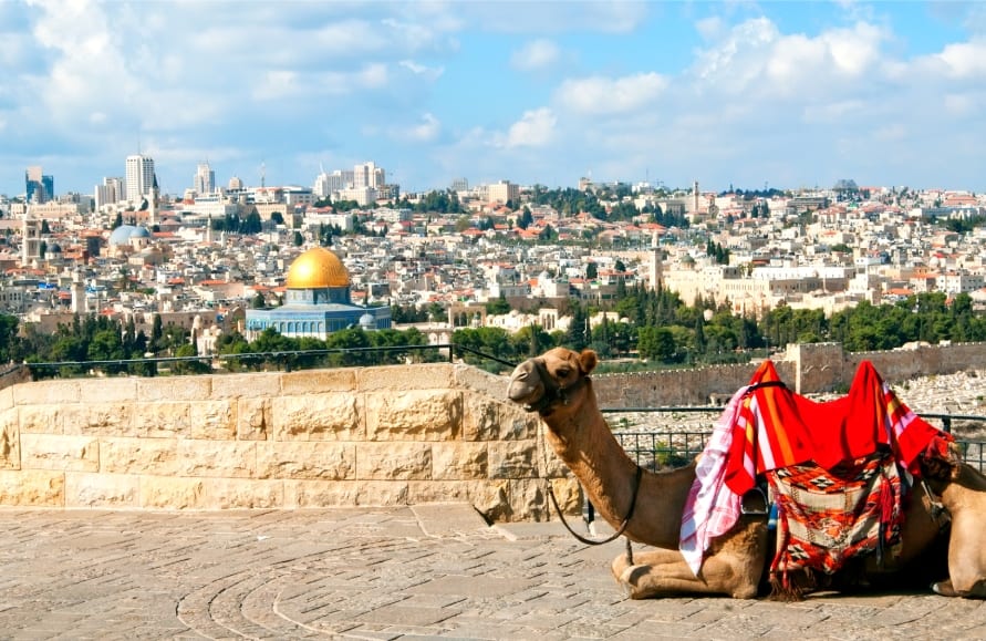Camel Rides in Israel Mount of Olives