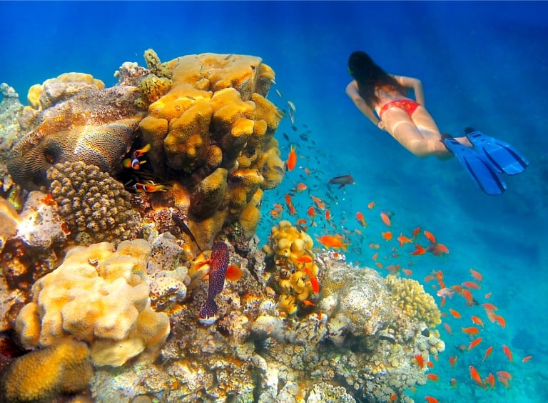 Eilat Coral Beach Nature Reserve