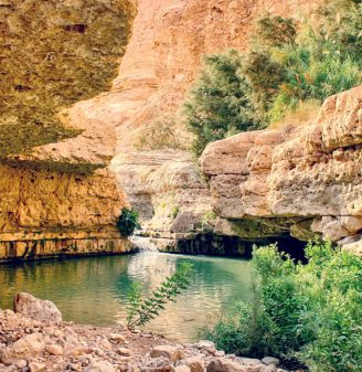 Ein Gedi , Wadi Arugot