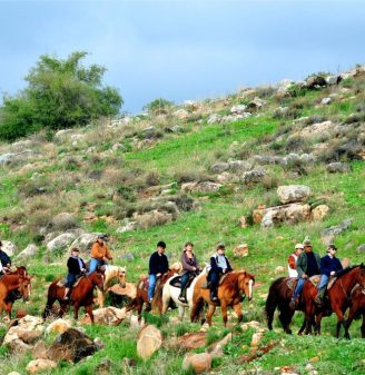 Horseback Riding in Israel