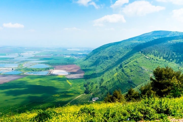 Mount Gilboa (2)