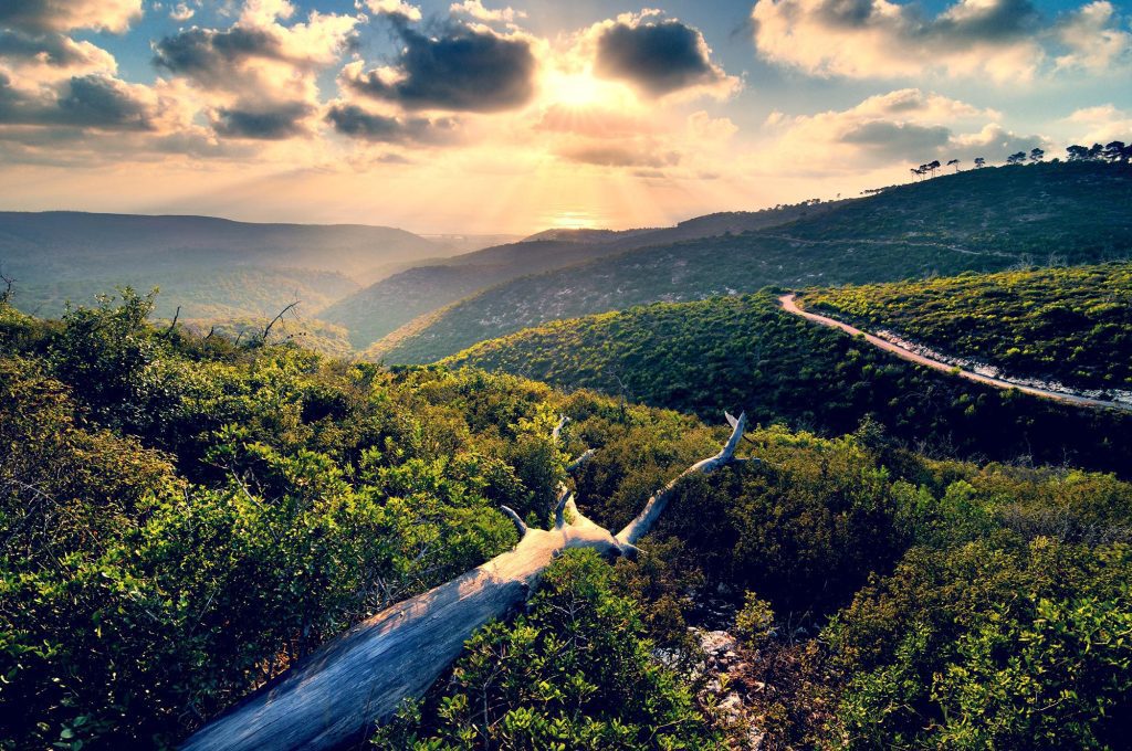 Mount Carmel National Park