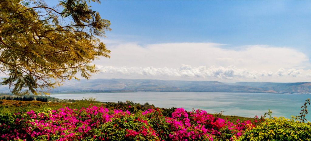 Sea of Galilee Ultimate Guide - Sea of Galilee View