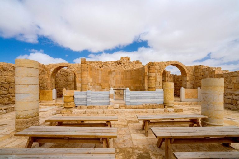 Israel Archaeological One Day Tours - Avdat
