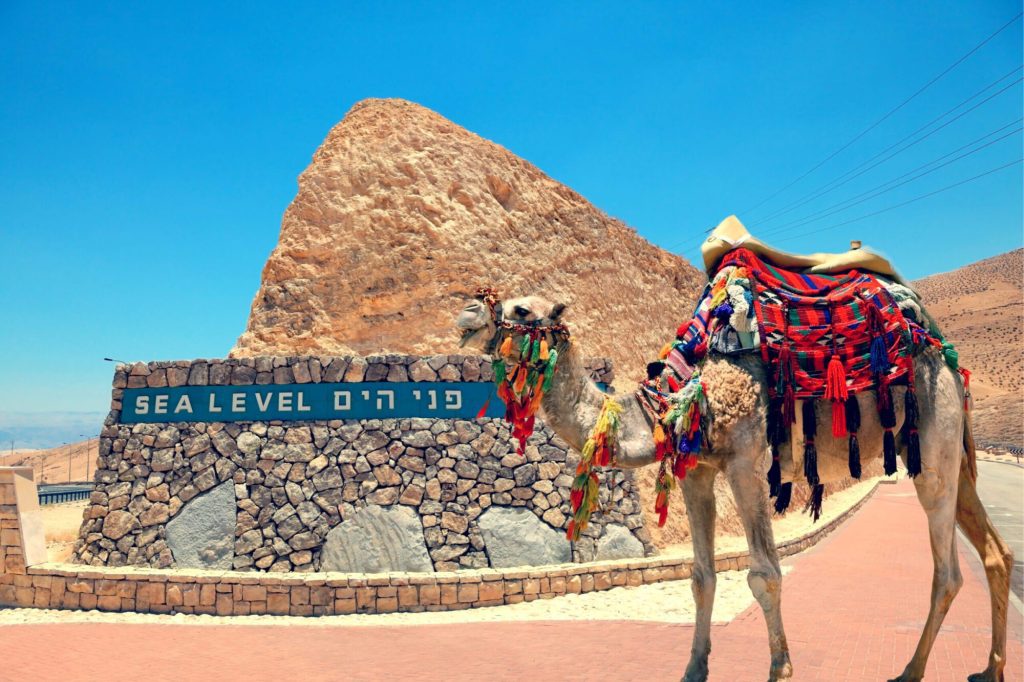 Christian Holy Land Seven Day Tour - Camel RIde