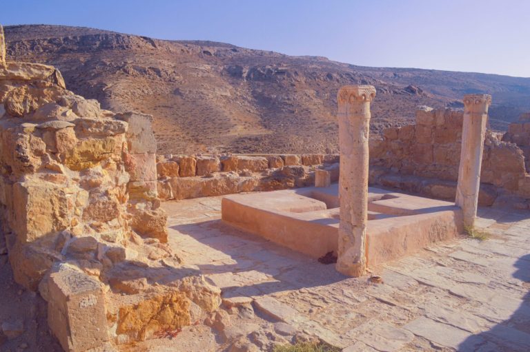Israel Archaeological One Day Tours - Avdat Colum