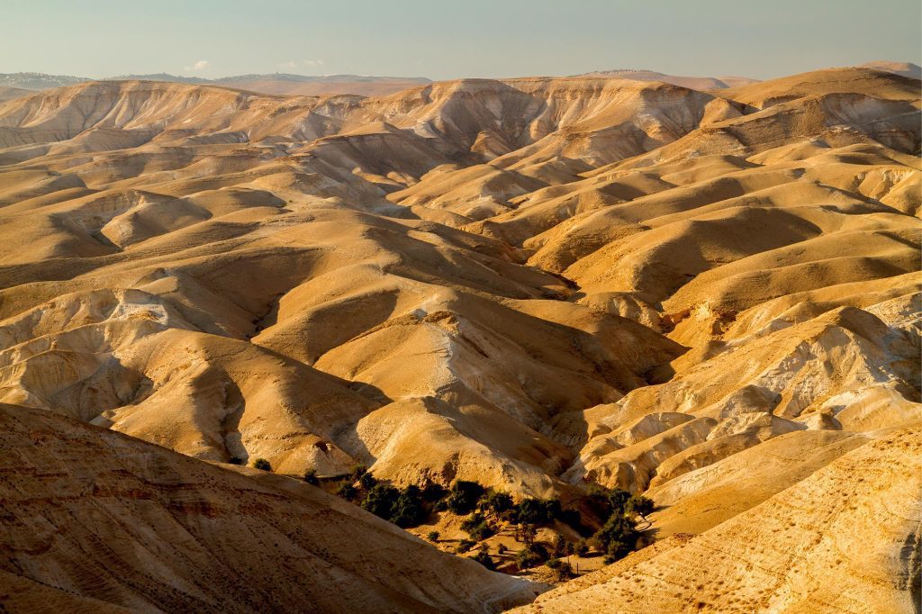 The Judean Desert - the Judean Desert