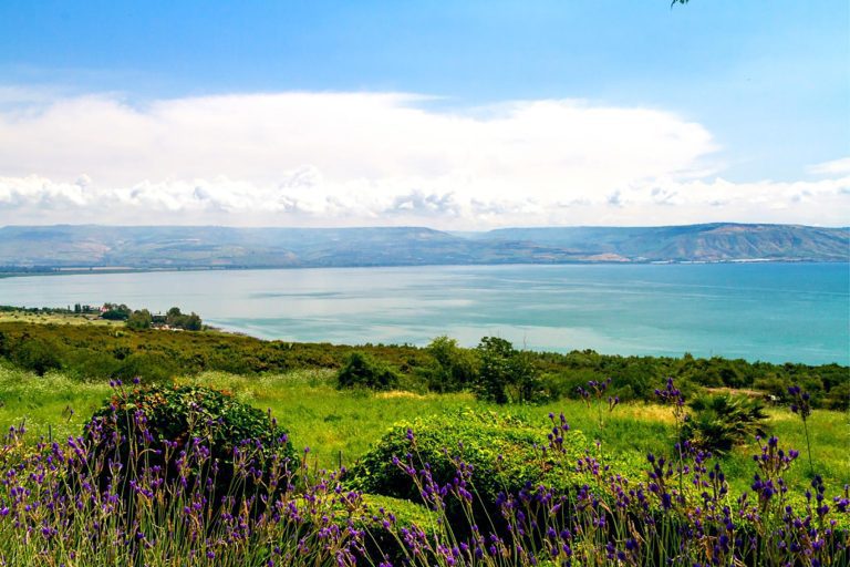 Christian Galilee Tour - Mount of Beatitude - View