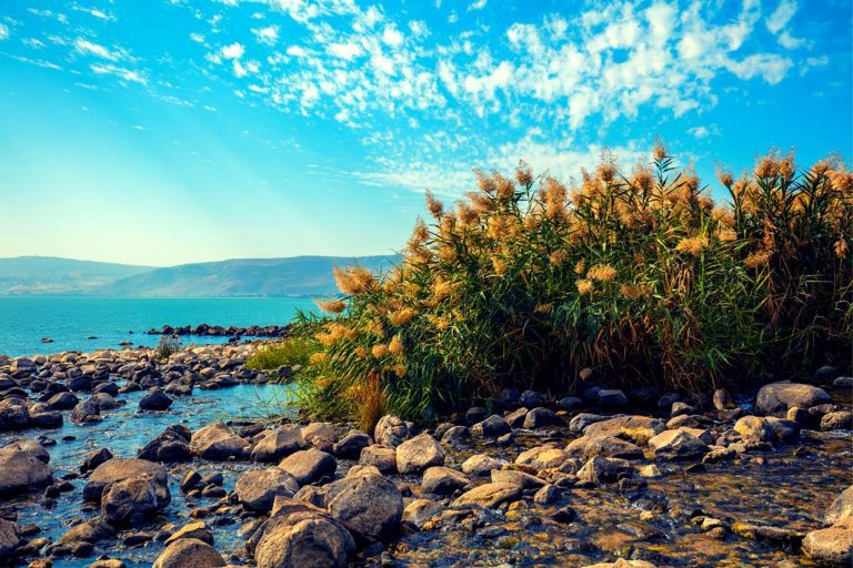 Christian Galilee Tour - Capernaum - Sea of Galilee