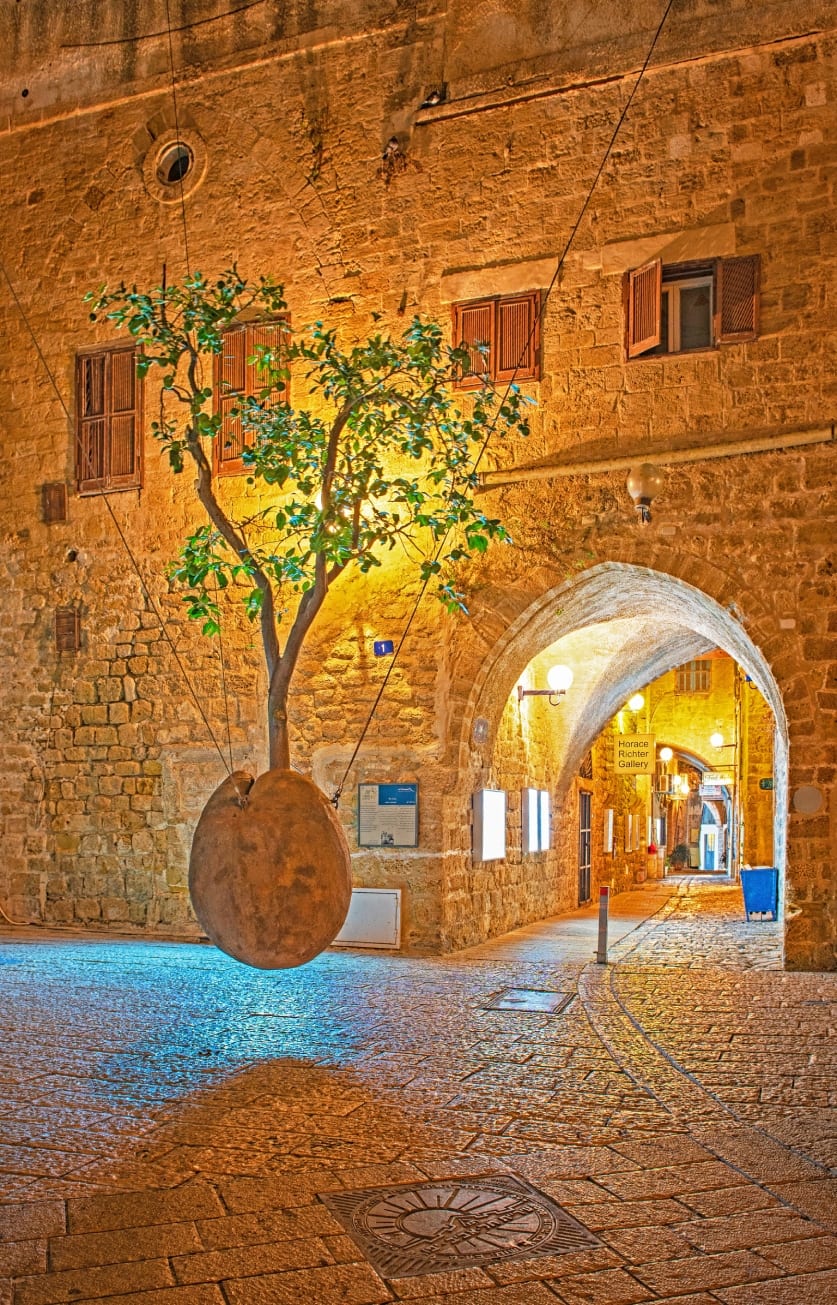 Old Jaffa Ultimate Guide - Floating Orange Tree