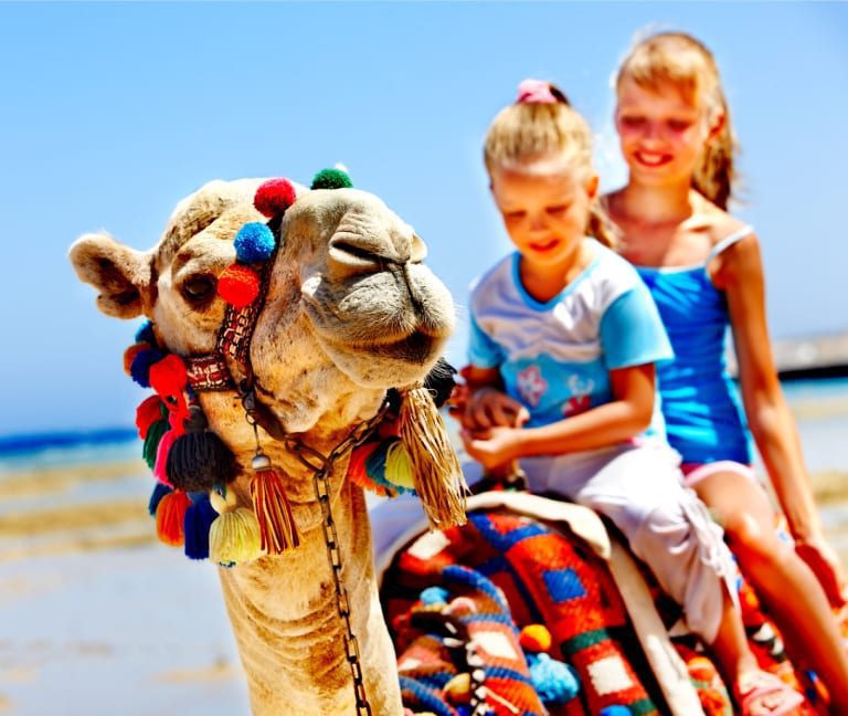Judaean Desert Tour - Shushu the Camel