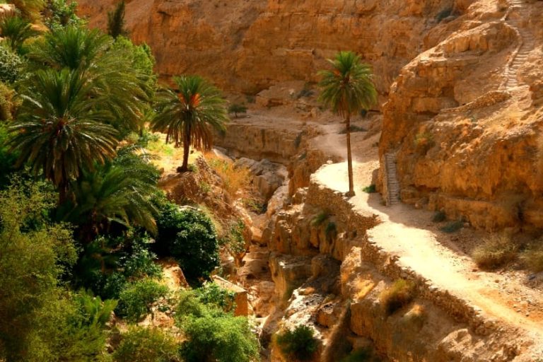 Judaean Desert Tour - Wadi Qelt