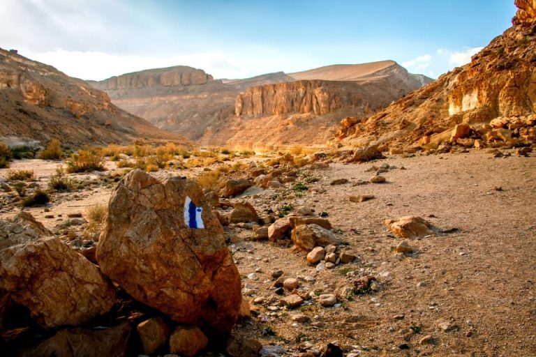 Negev Desert Tour - Ramon Crater Saharonim