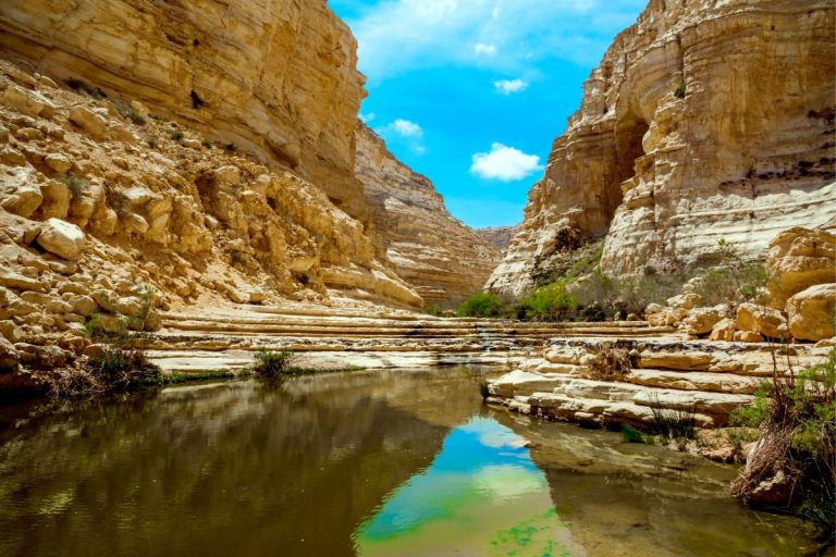 Negev Desert Tour - Ein Avdat National Park