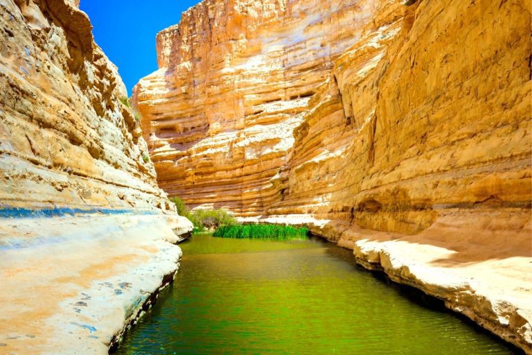 Negev Desert Tour - Ein Avdat National Park Pool