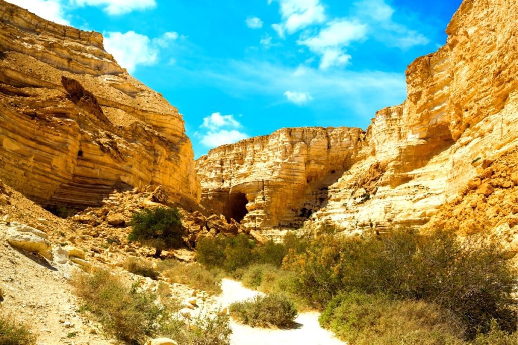 Negev Desert Tour - Ein Avdat National Park Entrance
