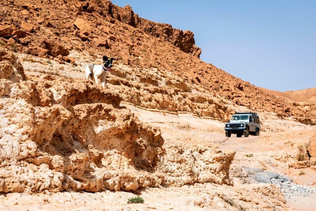 Negev Desert Tour - Ramon Crater Jeep