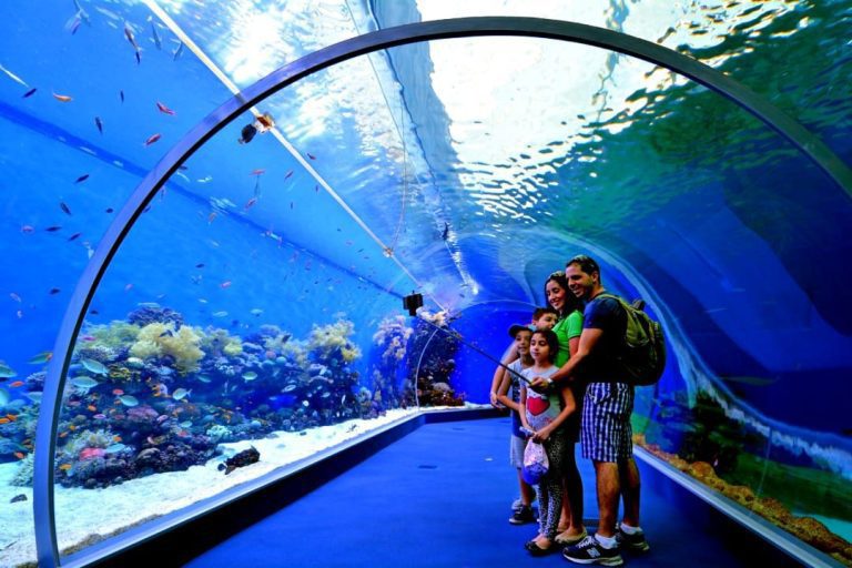 Eilat Ultimate Tour - Underwater Observatory Park