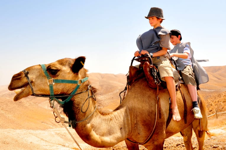 Fun Things to Do in Israel With Kids - Camel Ride