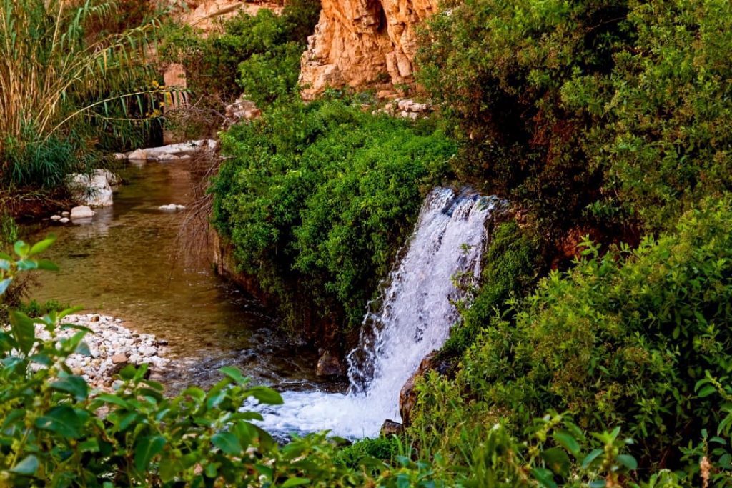 Ein-Prat-Nature-Reserve-Spring Water