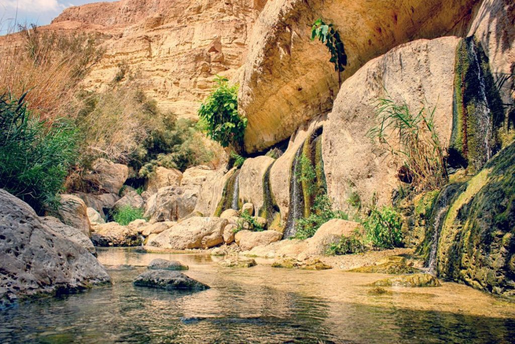 Ein-Gedi-Nature-Reserve-Wadi