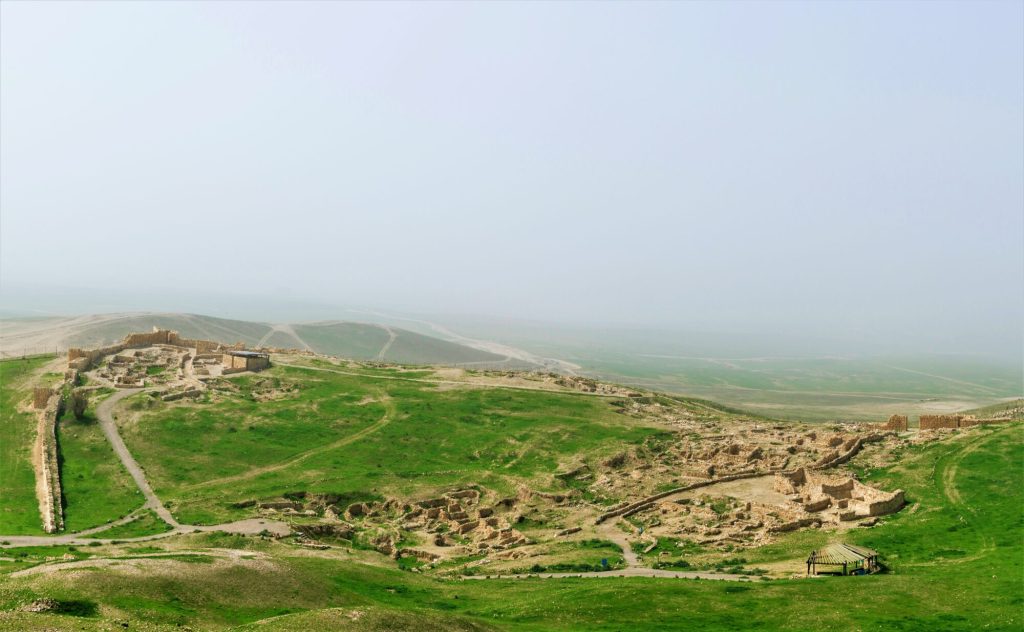Tel Arad National Park Panoramic View