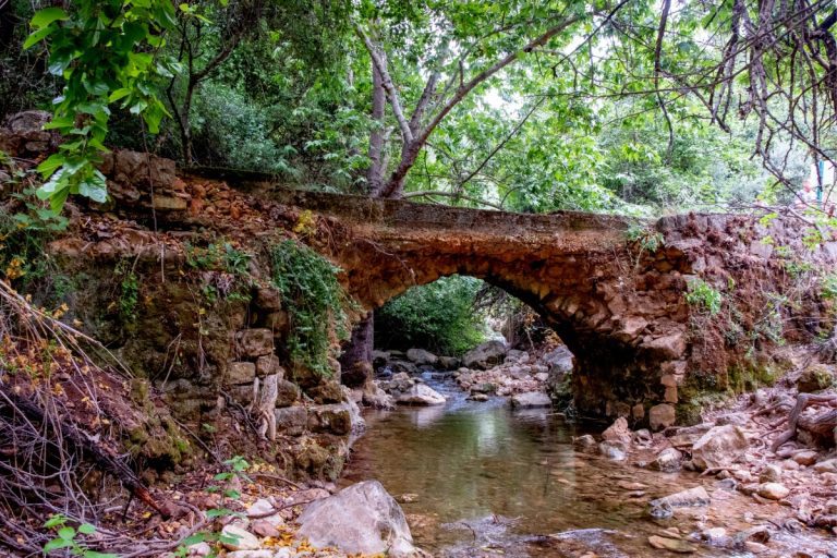 Israel's Best Trails - Ancient Bridge