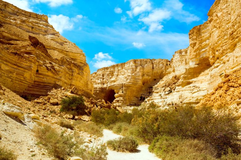 Israel's Best Trails - Ein Avdat Entrance