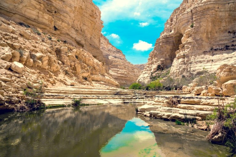 Israel's Best Trails - Ein Avdat Spring