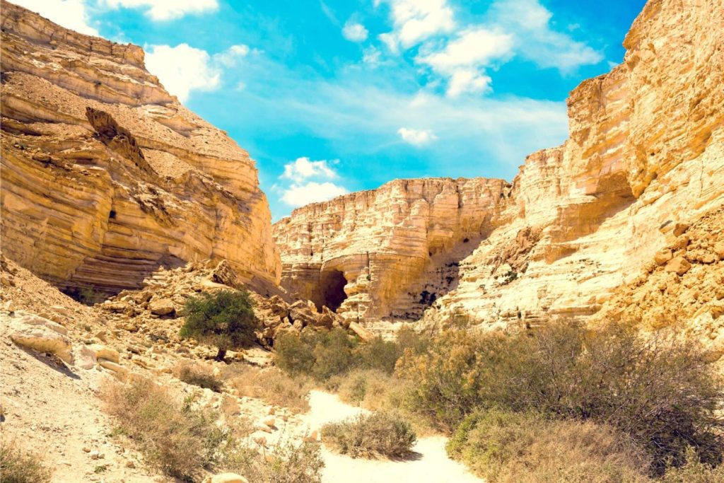 Negev Ultimate Guide - Ein Avdat National Park