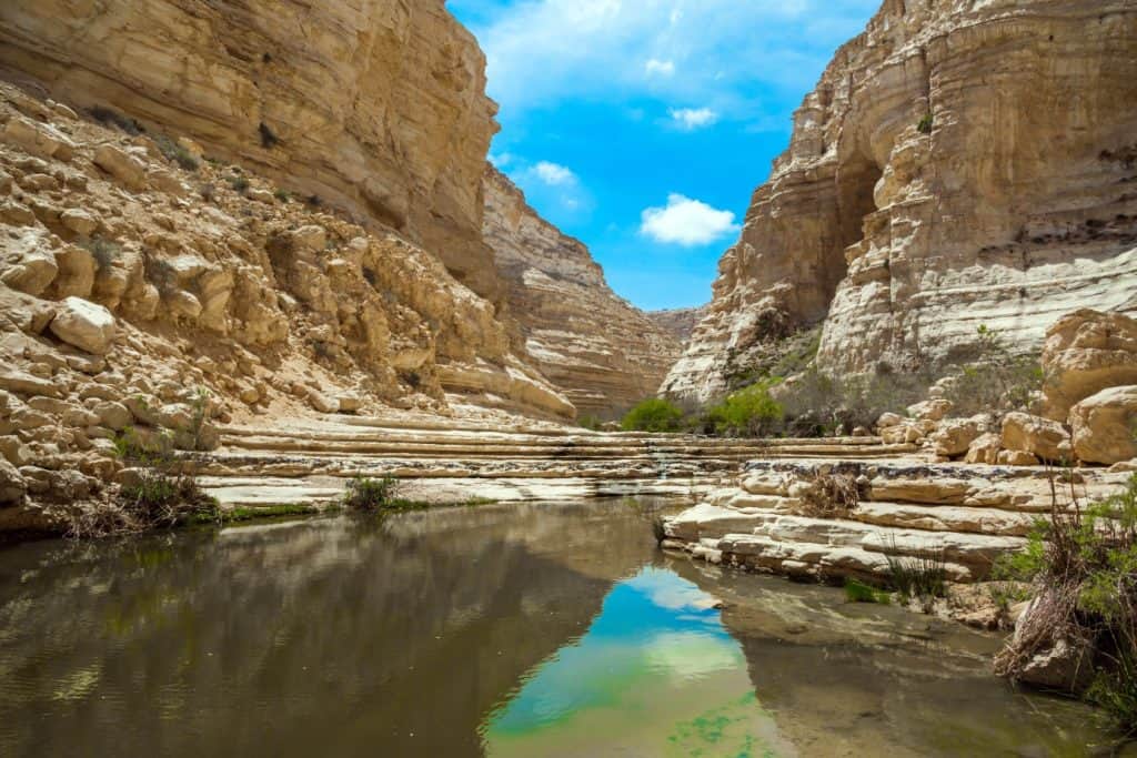 Best-National-Parks-in-the-Negev-Ein-Avdat-Spring