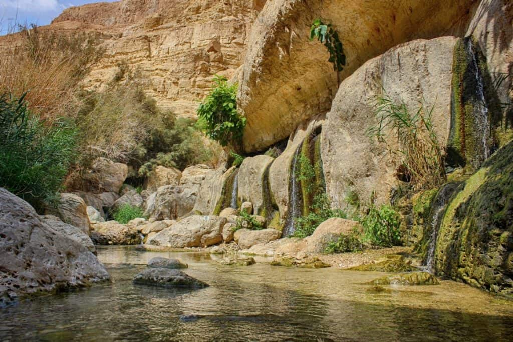 Things-to-Do-in-Israel-With-Kids-in-the-Summer-Ein-Gedi-National-Park