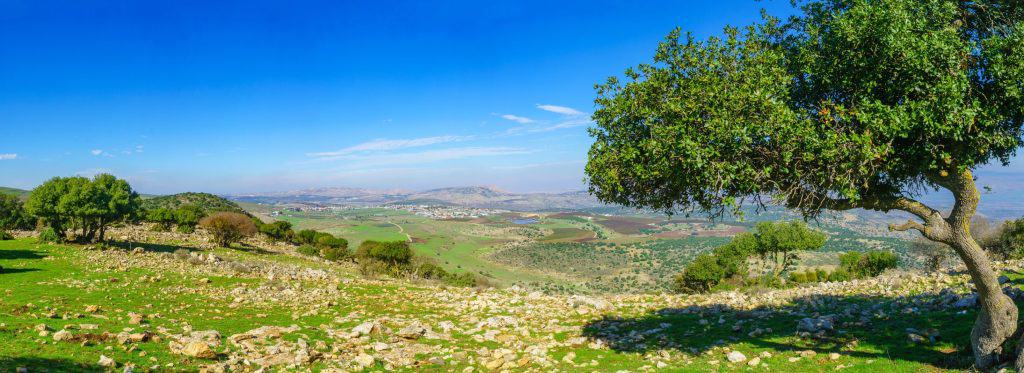 Upper Galilee Tag