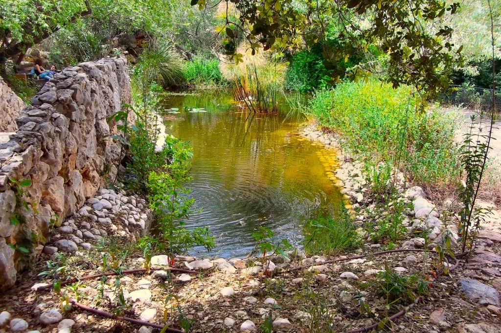 National Botanic Garden of Israel