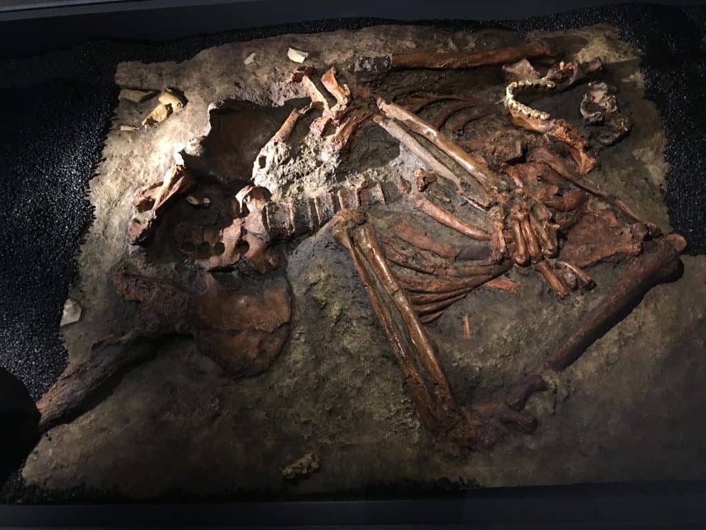 Kebara-Cave-Skeleton-Replica