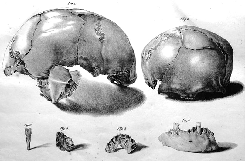 Neanderthal Research in the Land of Israel