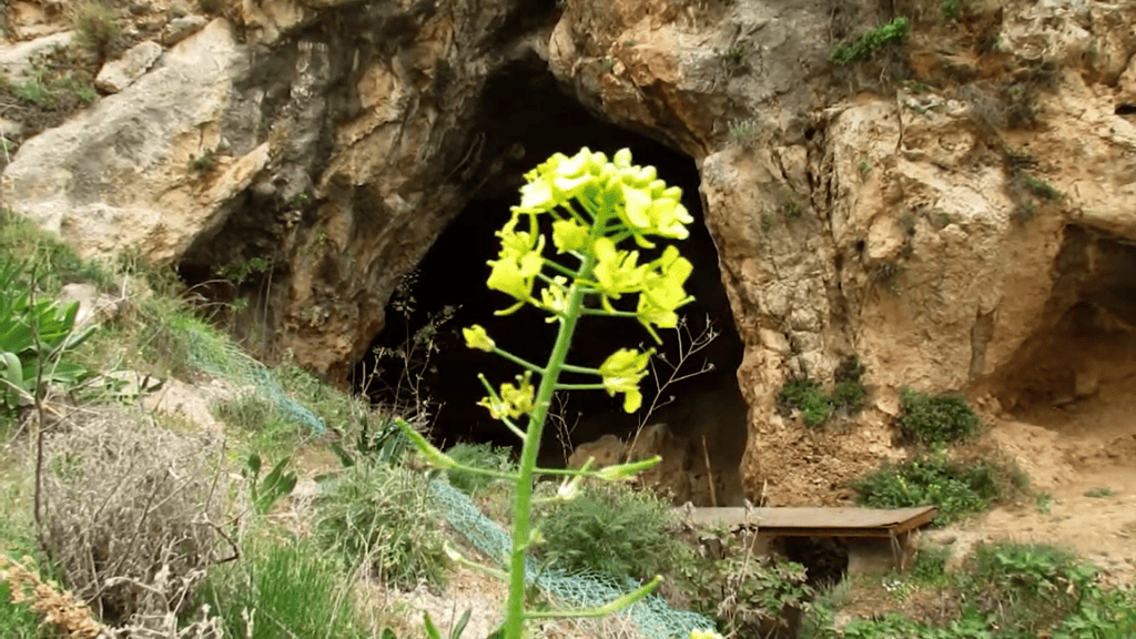 Qafzeh Cave