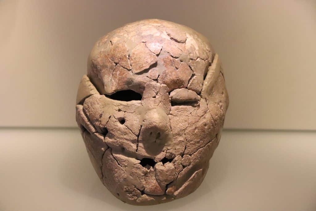 Tel-Jericho-Plastered-Skull-9000-BCE-Israel-Museum