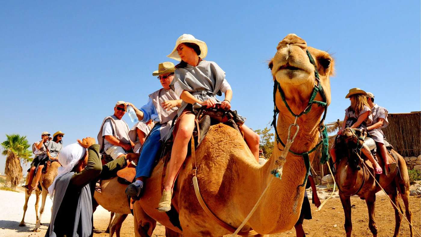 Masada Ultimate Guide - Camel Ride