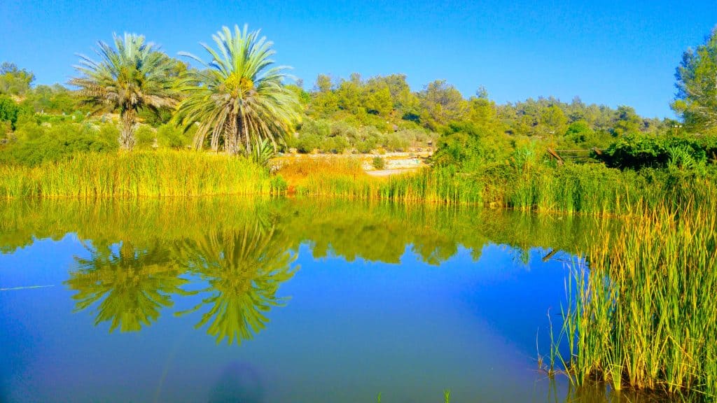 Neot Kedumim Lake View