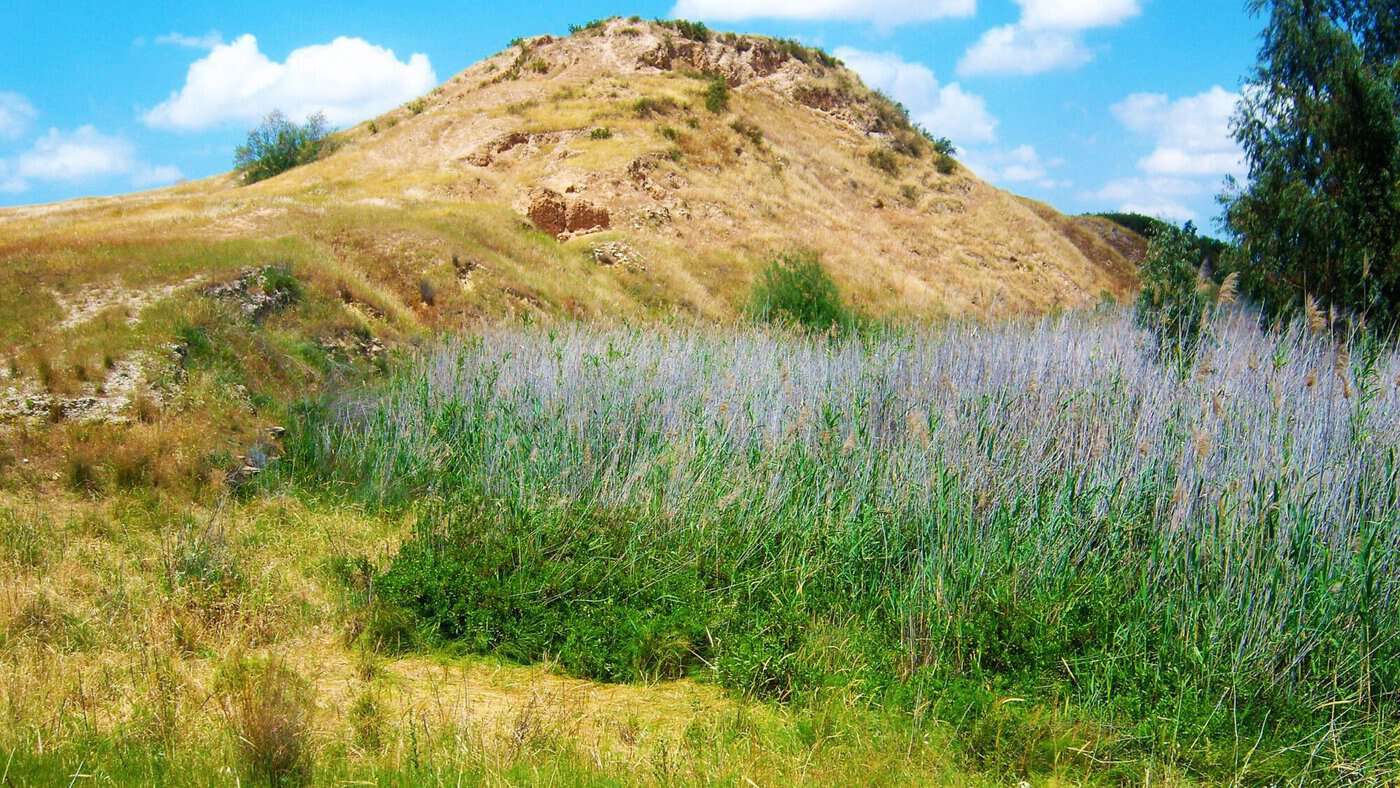 Biblical-Tels-in-the-Judean-Hills-Tel-El-Hasi-Lachish-South