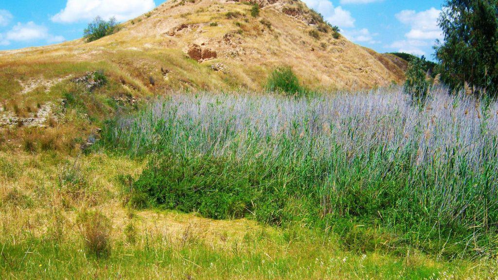 Biblical-Tels-in-the-Judean-Hills-Tel-El-Hasi-Lachish-South