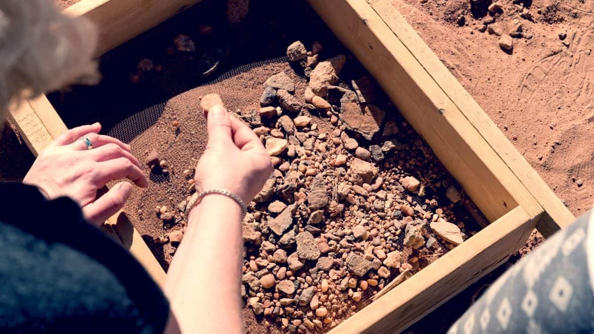 Israel Archaeological Seven Day Tour - Temple Mount Sifting Project